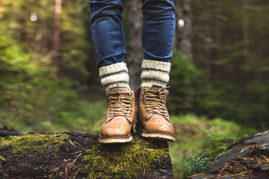 Bildausschnitt: ein Mensch in Wanderschuhen steht auf einem Baumstamm