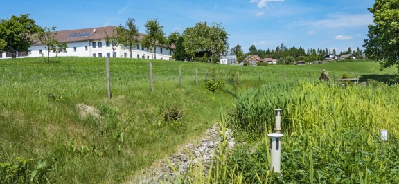 Grüne Wiese mit Vierkanthof im Hintergrund