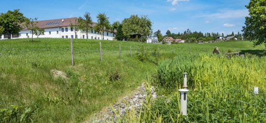 Grüne Wiese mit Vierkanthof im Hintergrund