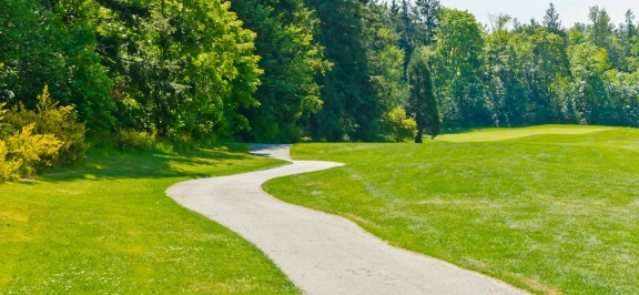 Oberbank Nachhaltigkeit - Weg im Wald