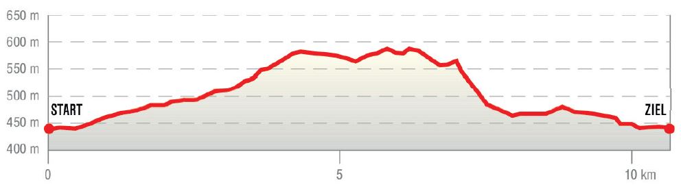 Höhenprofil der Wanderung in Altmünster/Traunkirchen